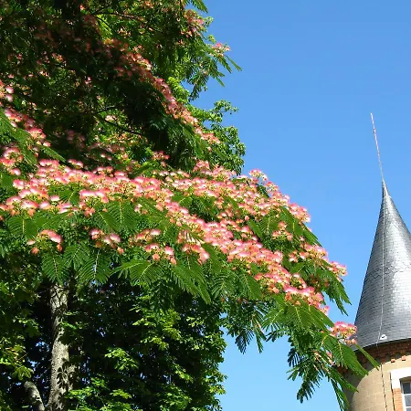 Сasa de vacaciones Domaine Du Bourg