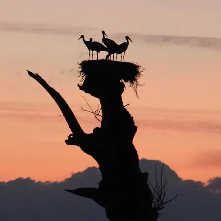 Domaine Du Bourg Gannay-sur-Loire