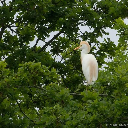 Holiday home Domaine Du Bourg *
