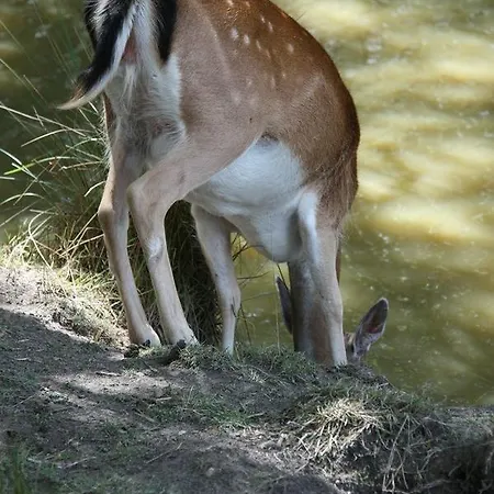 Domaine Du Bourg Holiday home